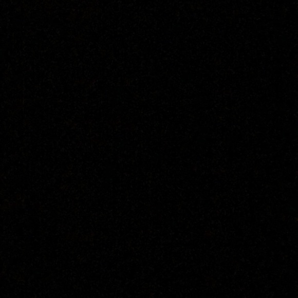 Meet your Posher, Ramses - Picture 1 of 1